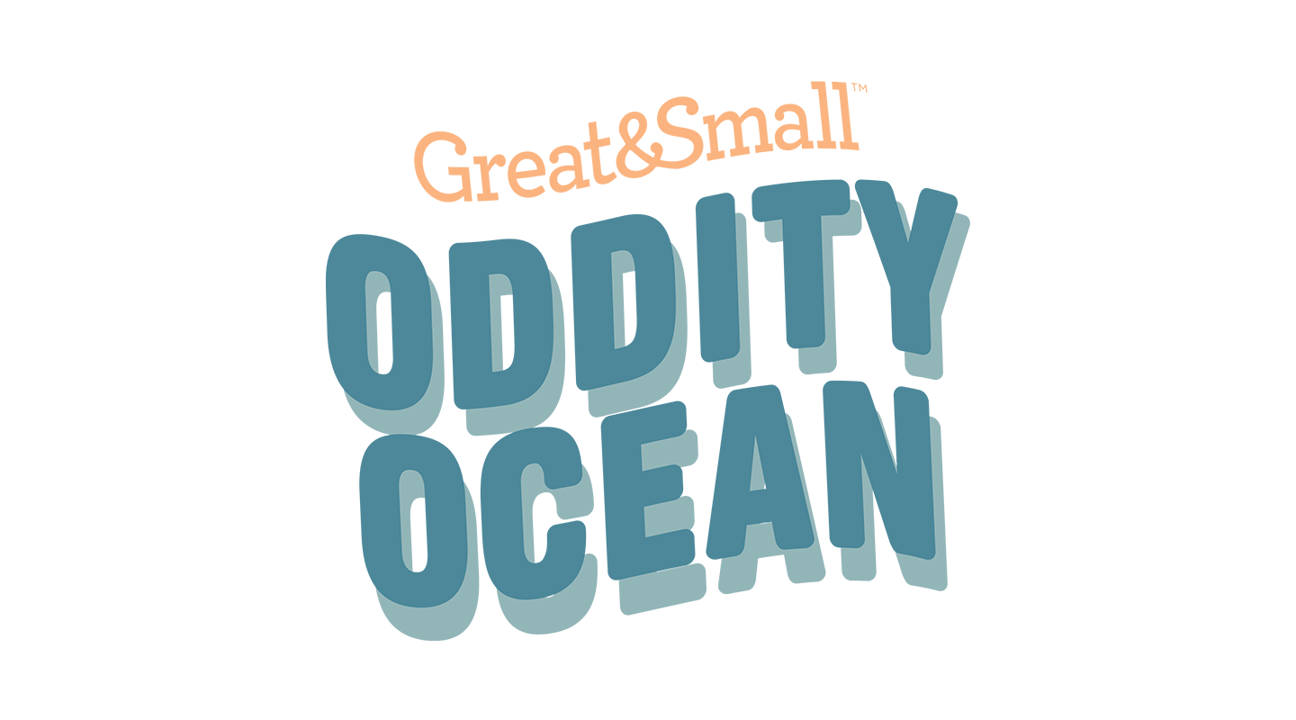 Oddity Ocean